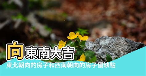 東北朝西南|【東北 西南 朝向的房子】東北西南朝向的房子好嗎？。